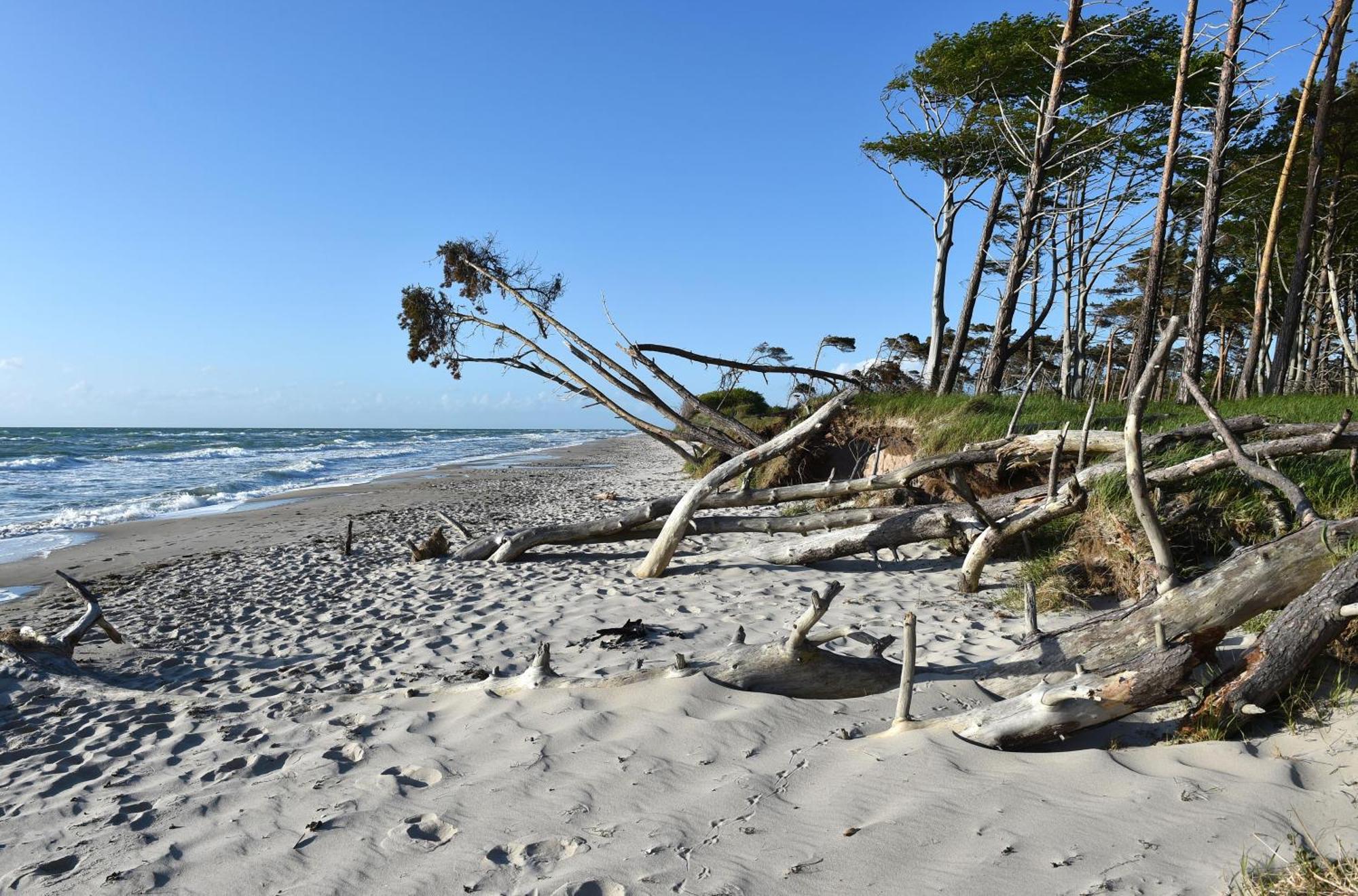 Leuchtturm An Der Seebruecke Zingst Exterior foto